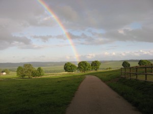 IMG_3171