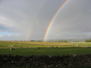 IMG_3173