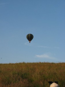 IMG_3441