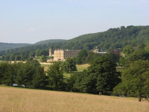 IMG_3491