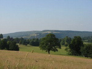 IMG_3492