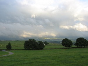 IMG_3651