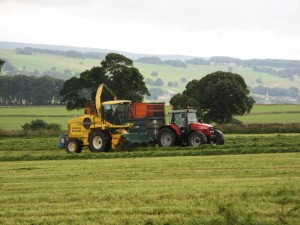 IMG_3675
