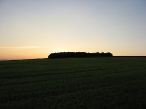 IMG_3698