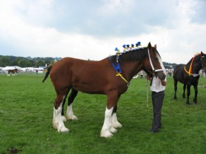 IMG_3713