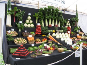 IMG_3719