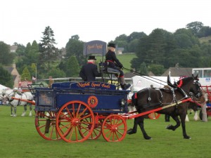 IMG_3723