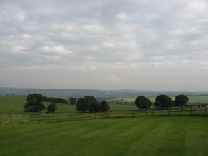 IMG_3972