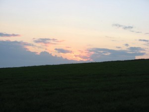 IMG_3979