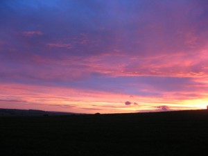 IMG_4206