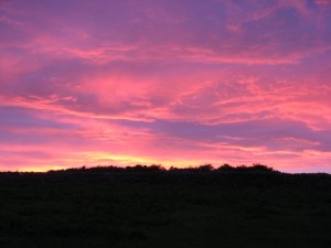 IMG_4209