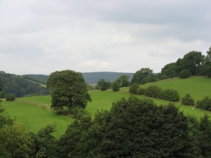 IMG_4233
