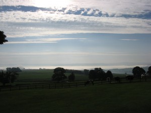 IMG_4236