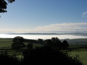IMG_4239