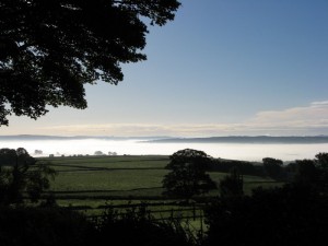 IMG_4240