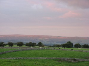 IMG_4264