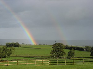 IMG_4271