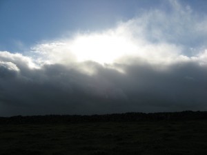IMG_4274