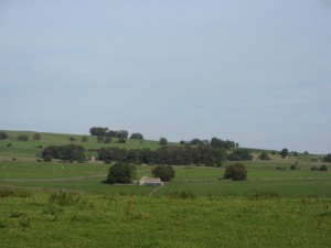 IMG_4396
