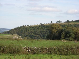 IMG_4398