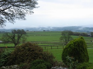 IMG_4507