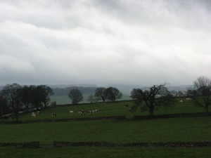 IMG_4513