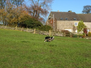 IMG_4607