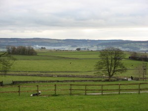 IMG_4623_1