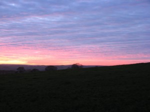 IMG_4701
