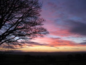 IMG_4865