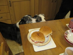 IMG_4884