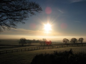 IMG_4905