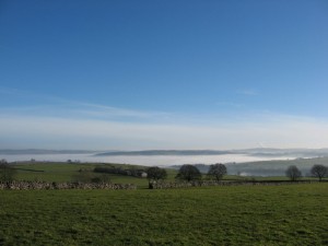 IMG_4910