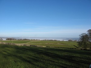 IMG_4911