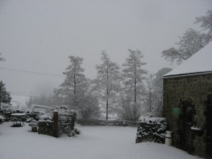 IMG_4979