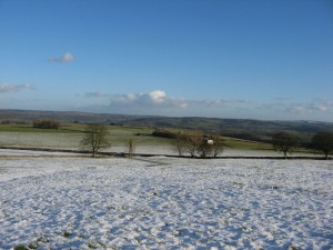 IMG_4985
