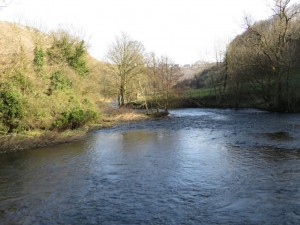 IMG_0090