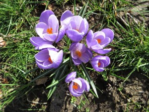 IMG_0095
