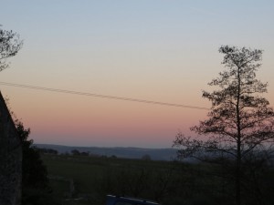 IMG_0108_1