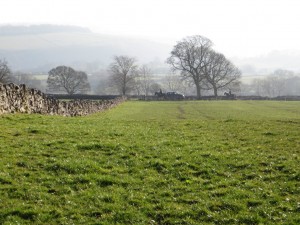 IMG_0111