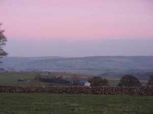 IMG_5126