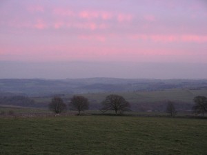IMG_5136