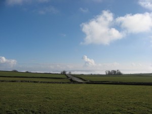 IMG_5155