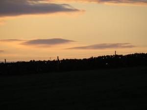 IMG_0245
