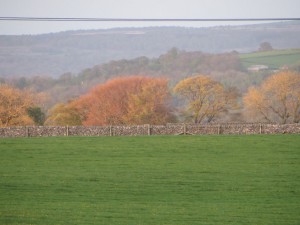 IMG_0488