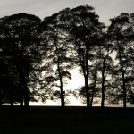 IMG_0782