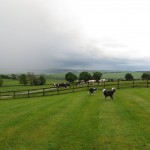 a passing shower