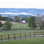 IMG_1176