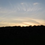 IMG_2243