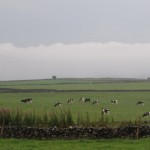 after the rain on Friday